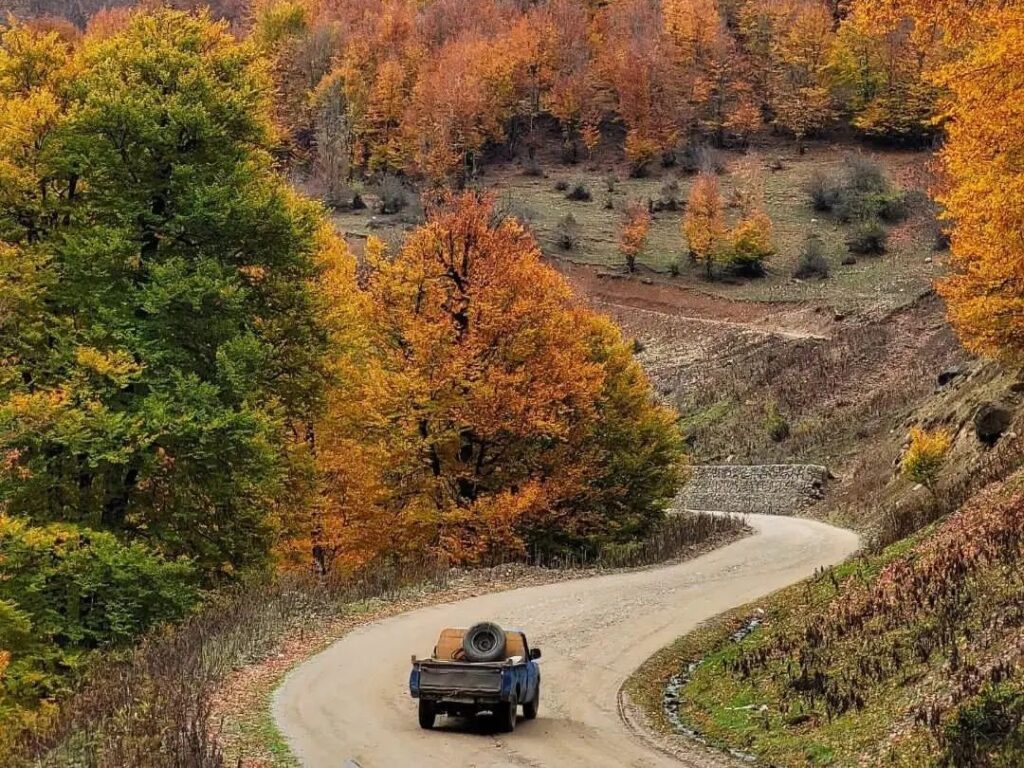 Talesh