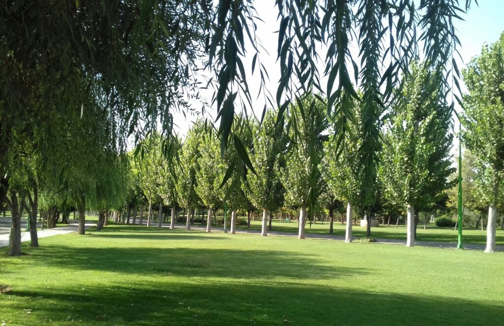 Tooska Forest Park